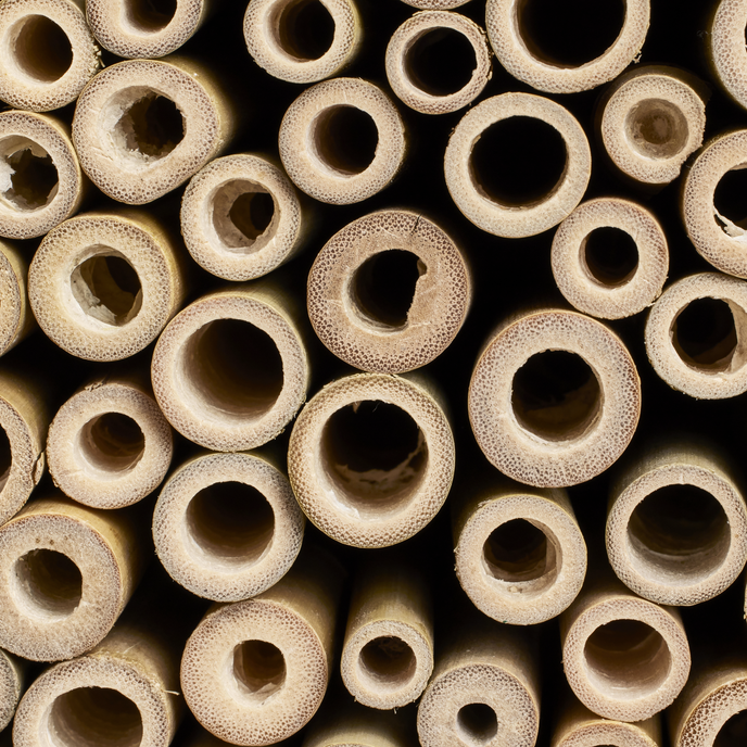 essential bee hotel 18cm gris fibroso